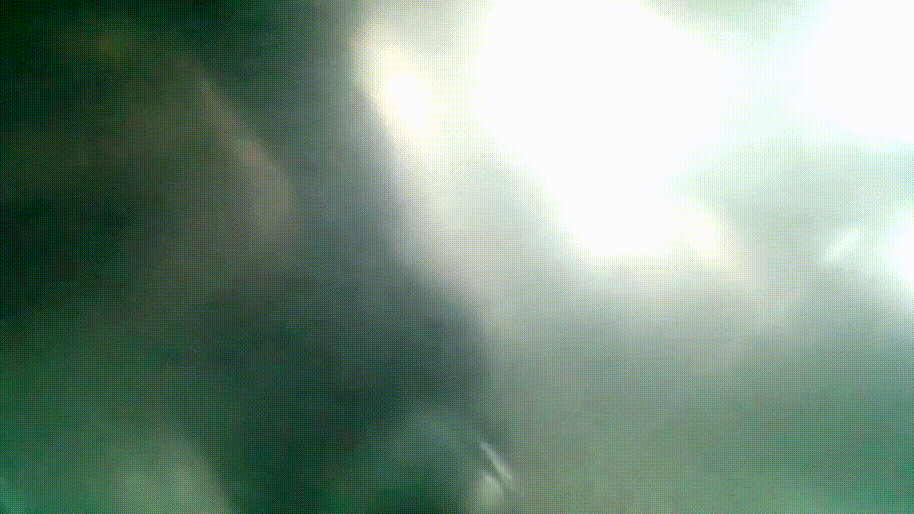 bf615723b19714636a33deaf7a505a5f_1740486564_0006.gif