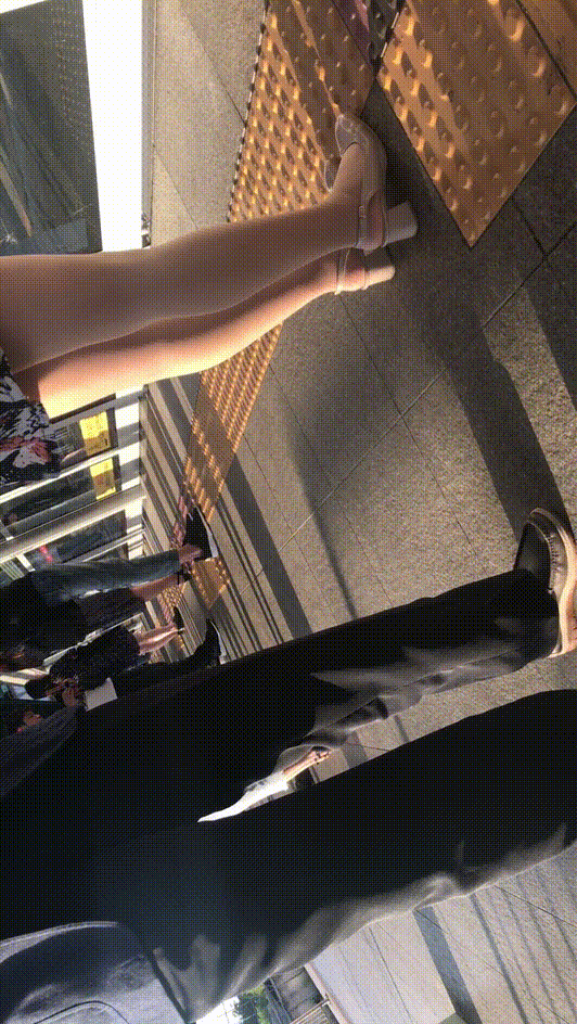 bf615723b19714636a33deaf7a505a5f_1740486887_6949.gif