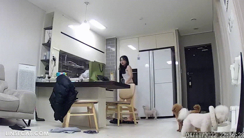 cc60f73c16b6d9430017761eac622664_1739780729_7271.gif