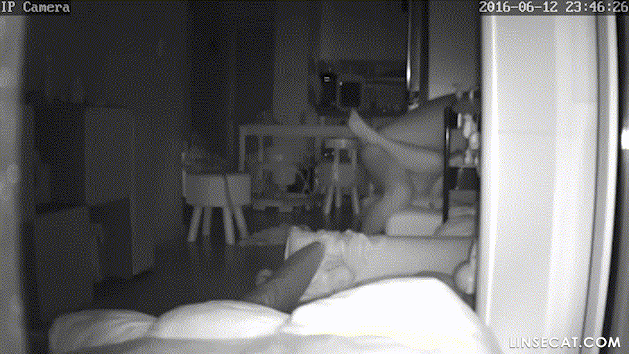 cc60f73c16b6d9430017761eac622664_1739781088_0774.gif