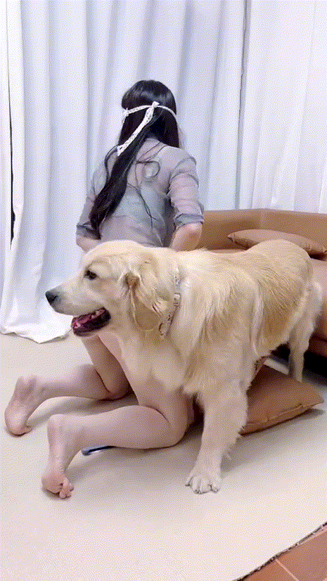 d639a00fb59673b9d0859d180822850f_1738758437_4256.gif
