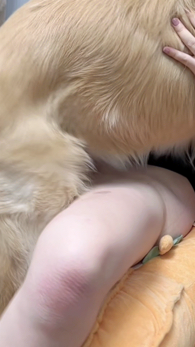 d639a00fb59673b9d0859d180822850f_1738758452_2702.gif