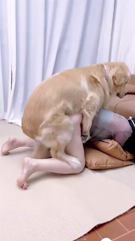 d639a00fb59673b9d0859d180822850f_1738758459_6632.gif