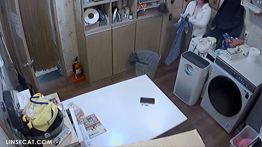 dfe663570303de53742c647021012f8a_1739535041_5333.gif