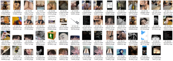 479dd53311ddcc46d45e2a3fd9ca6ed7_1739612701_575.png