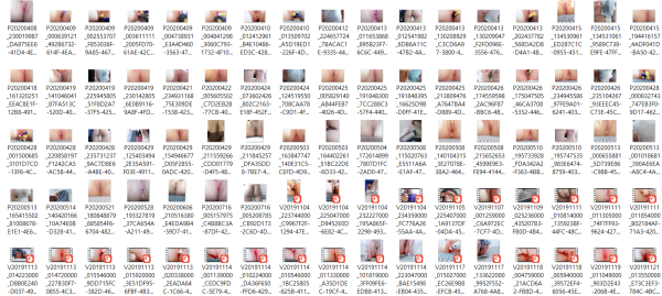 85d8e56ef89abfcd999289768d1d68c0_1739866913_8589.png