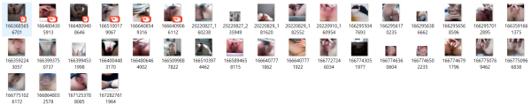 a4b919861c9f225d2bbe275a632f4280_1739868052_016.png