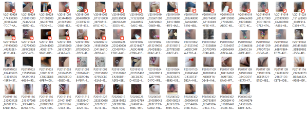 a4b919861c9f225d2bbe275a632f4280_1739868725_9217.png