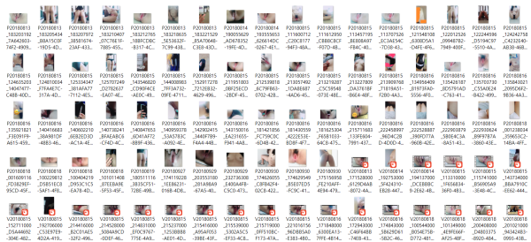 a4b919861c9f225d2bbe275a632f4280_1739868816_5431.png