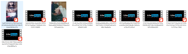e5f4c13edb4d0eba139b3f1383b776bc_1738484192_6096.png