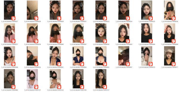e5f4c13edb4d0eba139b3f1383b776bc_1738484257_0304.png