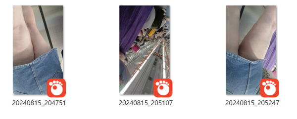 e764ae55b6cbc77690f0425c27dd635c_1740591862_447.png