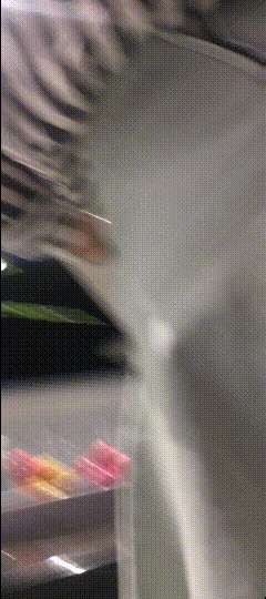 086a8fc53e1a948ac681a49e27c22a82_1741938437_6834.gif