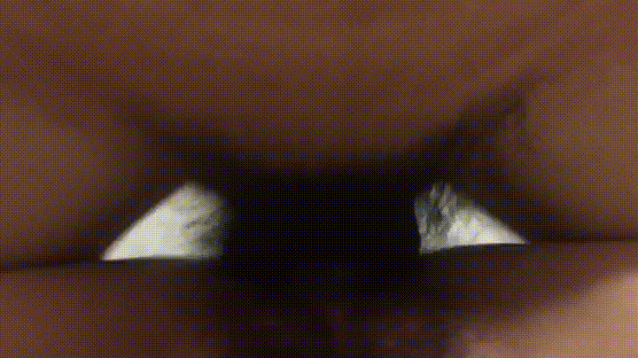 2c9aeb192ab6962b1b3761ad11e865d6_1742025366_8532.gif