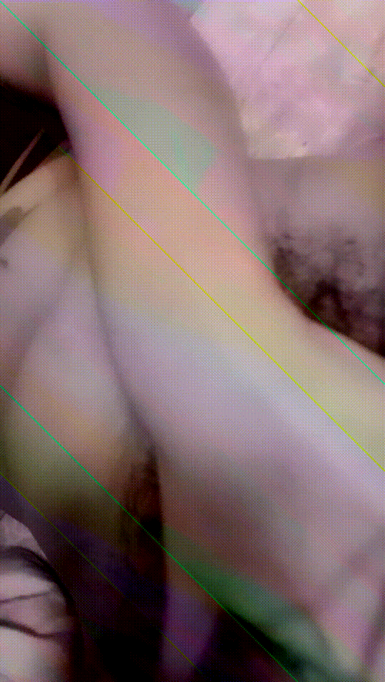 378d55260c0ff415a6d5a2d35c9851ad_1743059239_8562.gif
