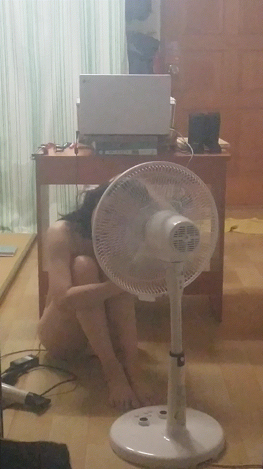 3e70fbc889acbcb47da3a951e4ccadc0_1741086707_238.gif