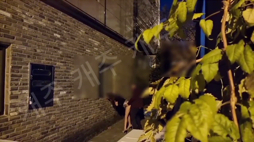 3f7d2d1902b19998f3181dfe933bb307_1740815663_9985.gif