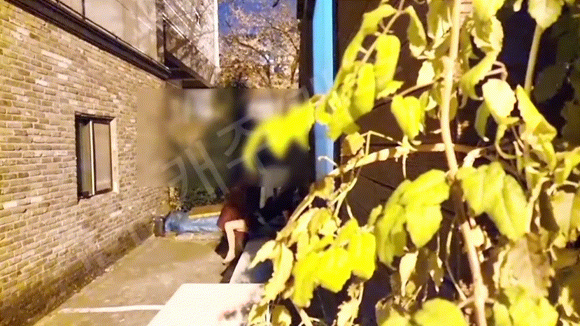 3f7d2d1902b19998f3181dfe933bb307_1740815665_2949.gif