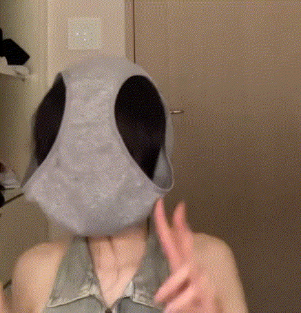 481a11835b5d076e3fb380e987456cdf_1742483049_4802.gif