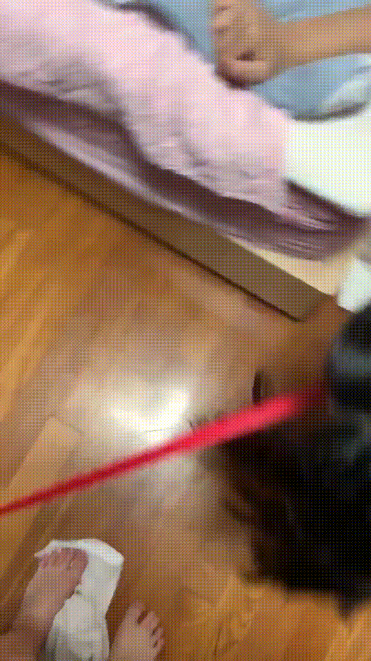 5573ccb319176256b5b513002d64ab6e_1742278023_5946.gif