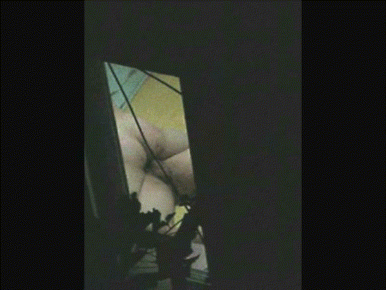 5573ccb319176256b5b513002d64ab6e_1742279526_2606.gif