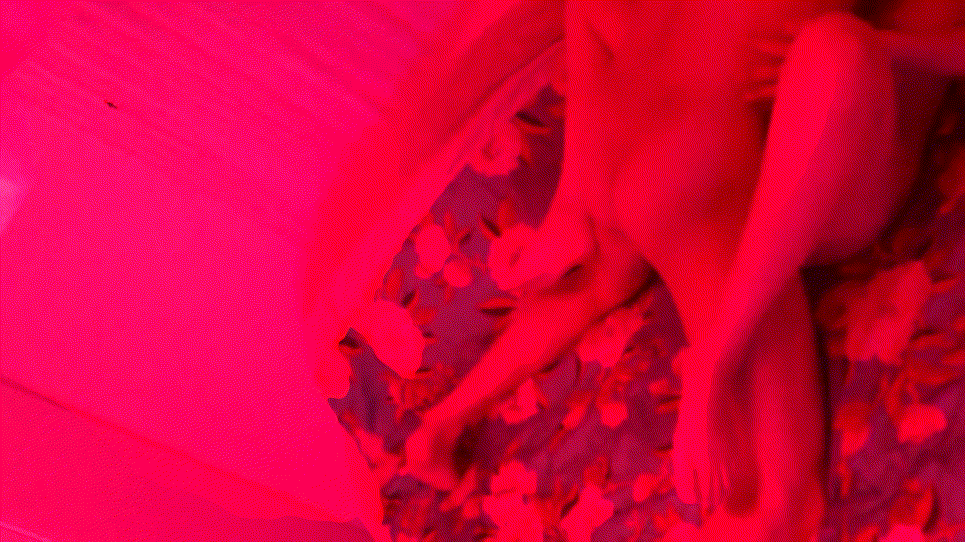 5ee5bbce44115ba6a20bfb0762290d4f_1740989024_2263.gif