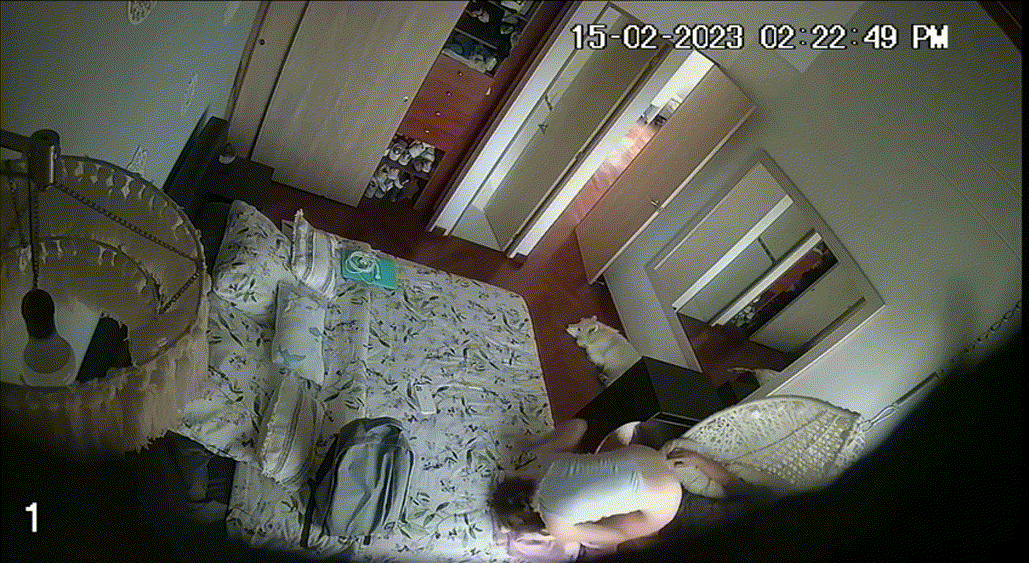 63fcf169289a40dfb1e7e5553a13bb7b_1740905797_4923.gif