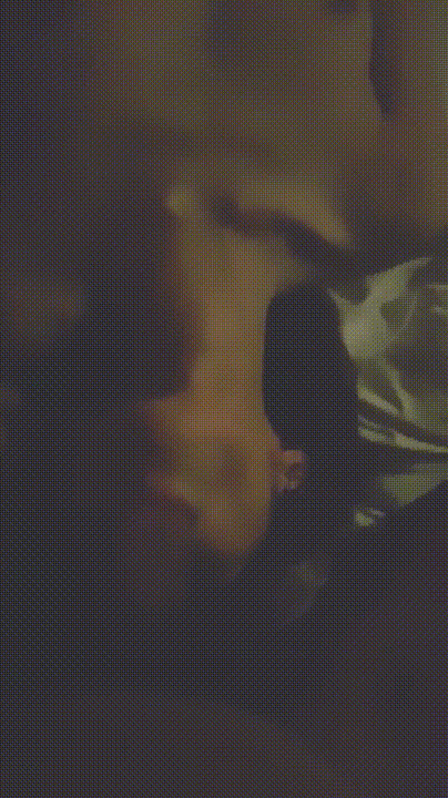 74a3142add9fe703f032a82f6350798b_1741615406_9036.gif
