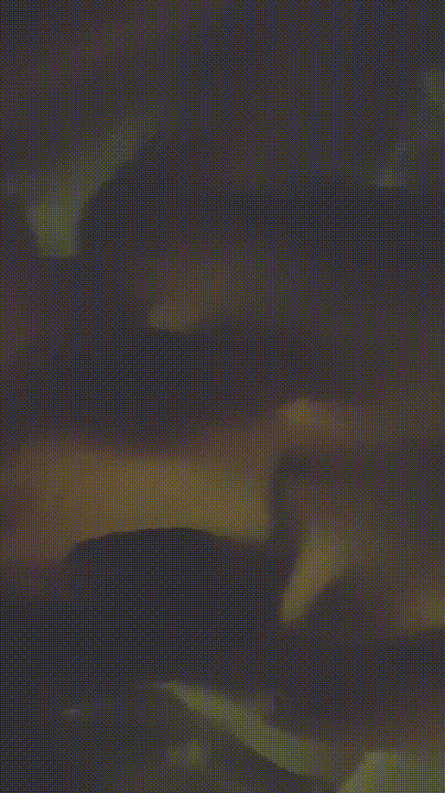 74a3142add9fe703f032a82f6350798b_1741615407_9131.gif