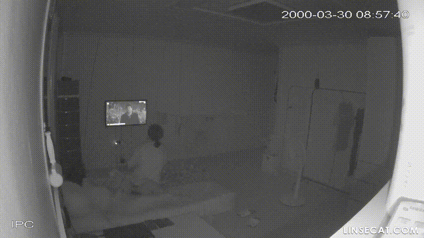 8508b68cad1b055a5ce8247aa0a88bc2_1742482052_7595.gif