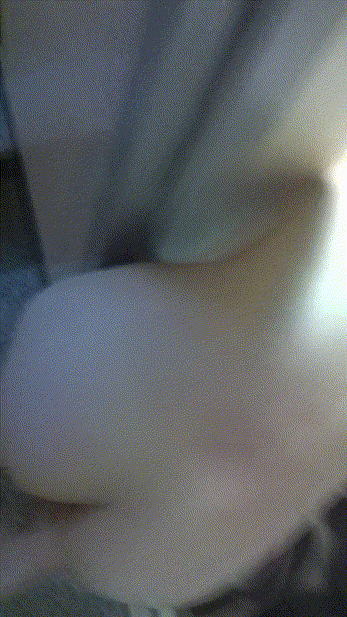 90ec5846b34baaada065486013a76b4b_1741593554_535.gif