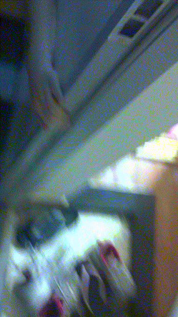 90ec5846b34baaada065486013a76b4b_1741593556_8027.gif