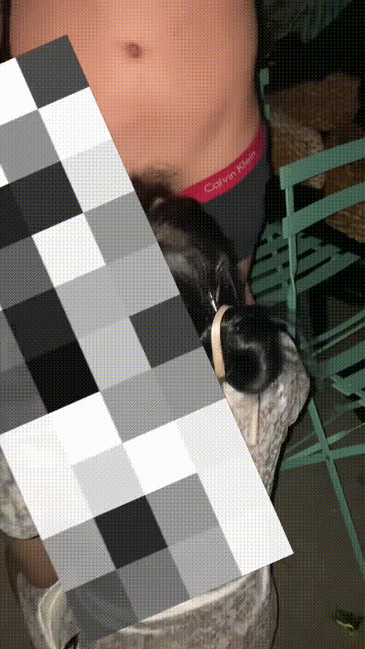 9d2b6e9478cb9a8d6243143241685e88_1740992350_2127.gif
