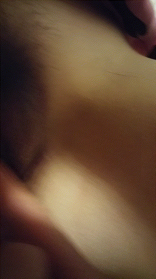 a5d8a34cdecbbbe30979058e53225779_1741611402_2231.gif