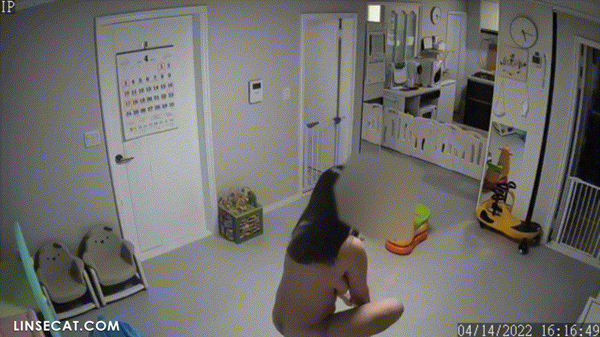b5d8cc3fdc94b8295bad75c9b0538d8e_1741157934_2153.gif