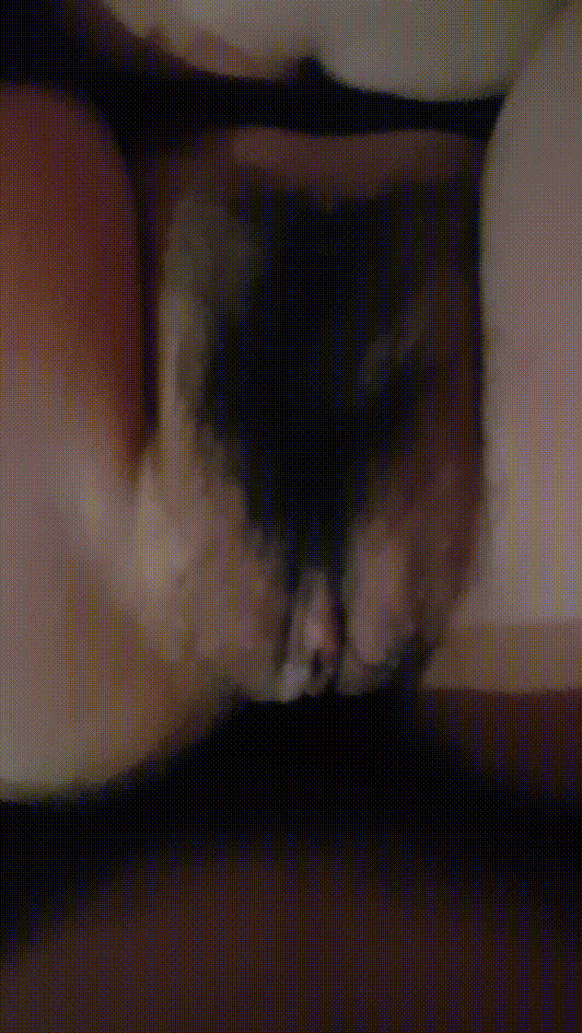 b5d8cc3fdc94b8295bad75c9b0538d8e_1741158271_6878.gif