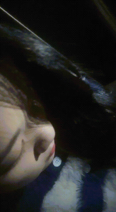 b6742521f9c7752554c9d57eb758f2c7_1742573746_1166.gif