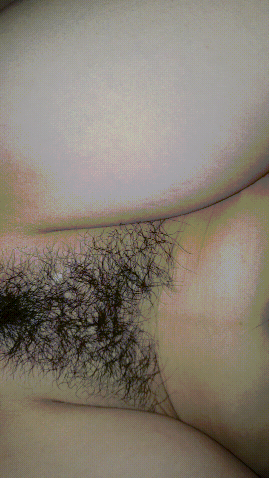 dfc310c354eed7d9adf4f39668a71301_1741512296_315.gif