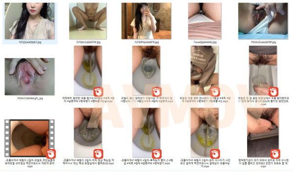 41a772549c49ea4816a3f9a3bedfc6bd_1743223934_4825.png