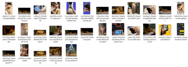 684f2bc9e5b06d532c010b4049dd6b6b_1742345748_9142.png