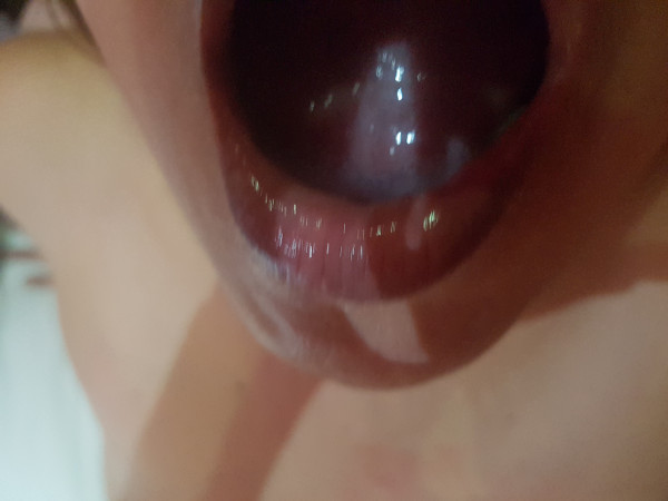 a5d8a34cdecbbbe30979058e53225779_1741611953_9439.jpg