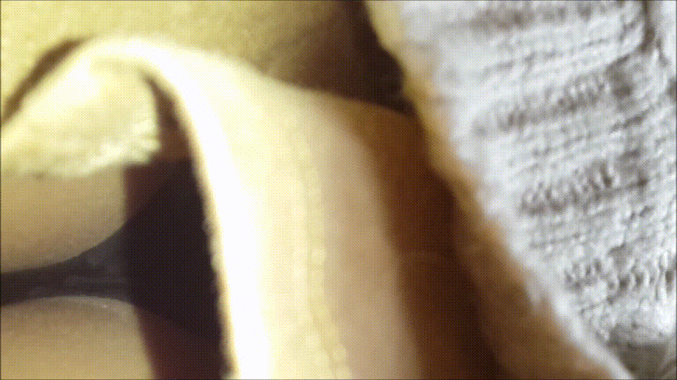 0d69fddacb01bc53a4d5fd0fa6167faa_1744041207_2515.gif