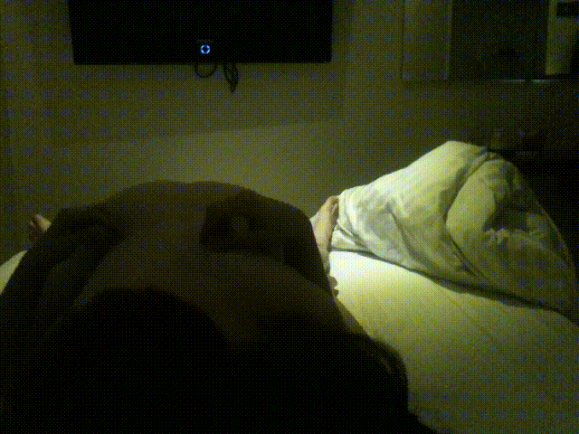 1c5d7341acabe2c4561b48f98100d175_1743940716_2535.gif