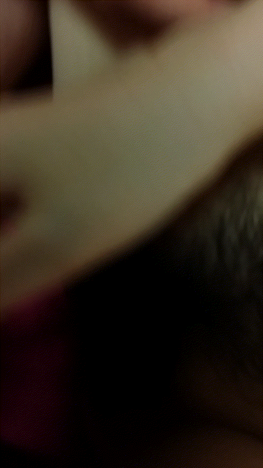 1fab8b5dd1b8df7c358765081d1a48e1_1745996553_1317.gif