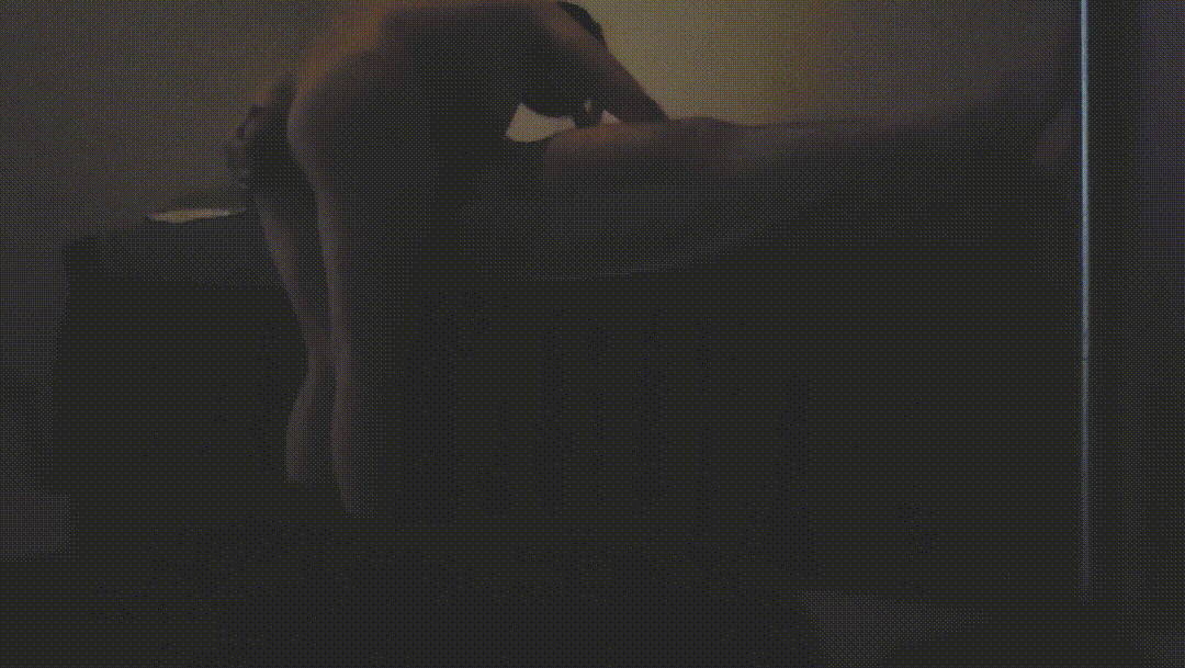 304a37d7f260fa5c4bc50f71caa11f08_1745393871_8803.gif