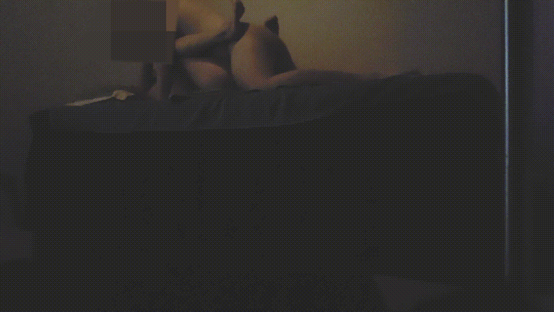304a37d7f260fa5c4bc50f71caa11f08_1745393873_1101.gif
