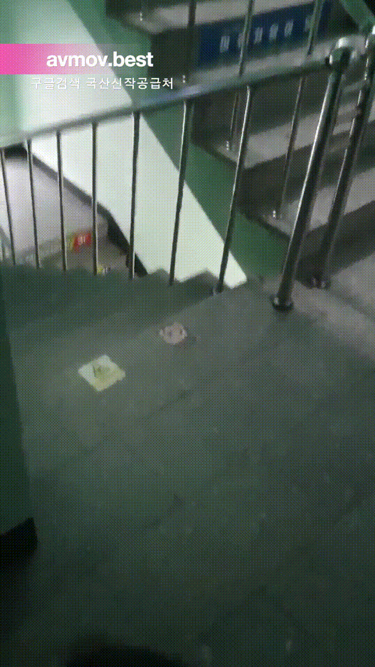 5cbc6d83654f976d36269c566984e00e_1743765792_7263.gif