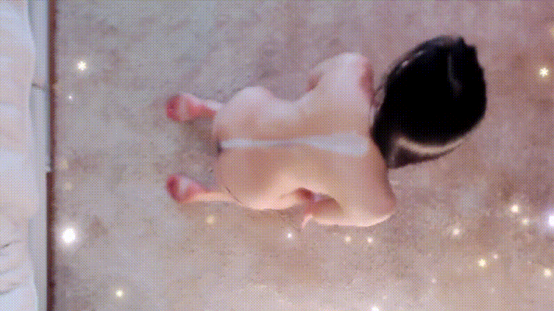 6ee3013569ebe301dbc79bd287c21fb1_1743514389_2736.gif