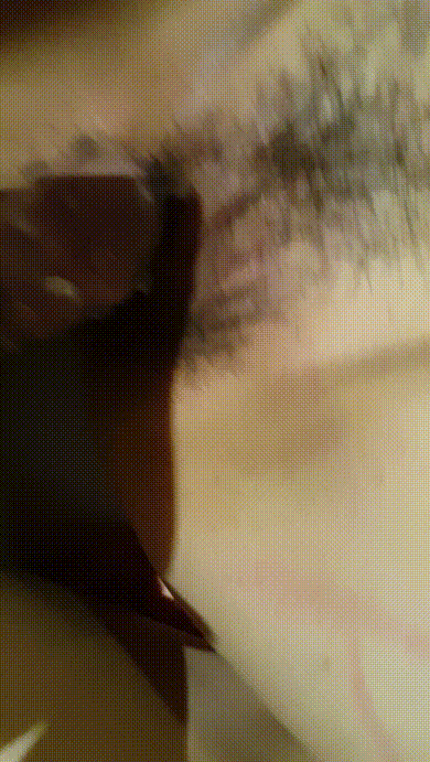 8e3f2a64dabc7b3271f2257953f78c5d_1744910917_1096.gif