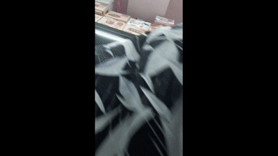 965d5f8af02e9298d37361885b51d402_1745076851_332.gif